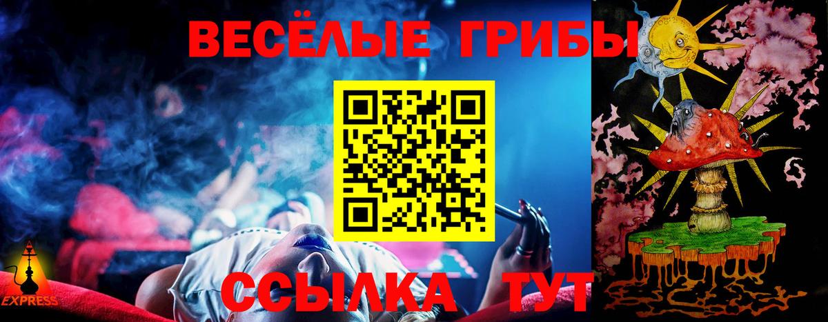 Псилоцибиновые грибы прущие грибы  где можно купить наркотик  Кемерово  Вход с VPN 
