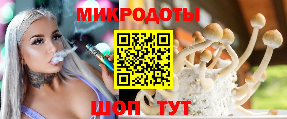 Галлюциногенные грибы Cubensis Кемерово