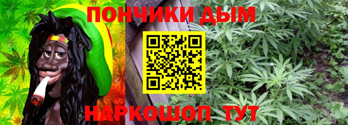 Канабис сатива Кемерово